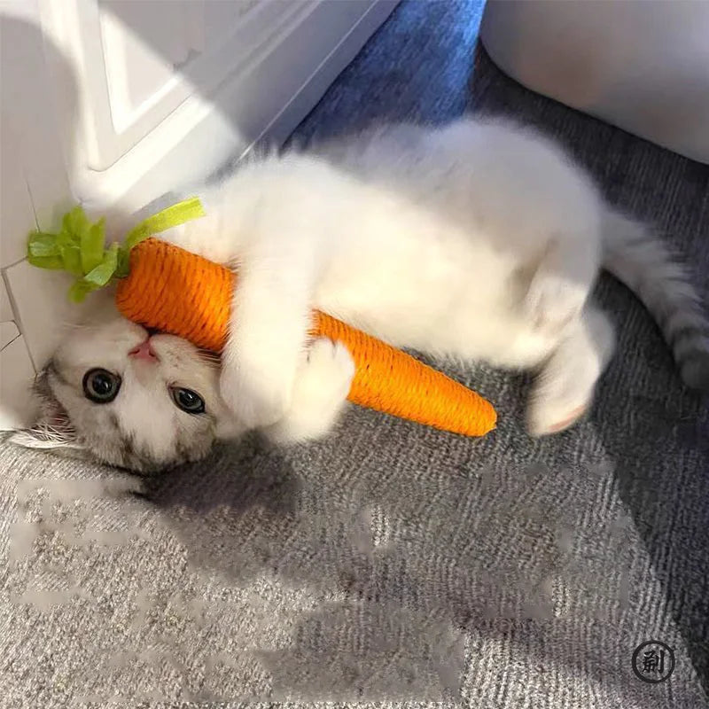 Squeaky Carrot Chew Stick Cat Toy