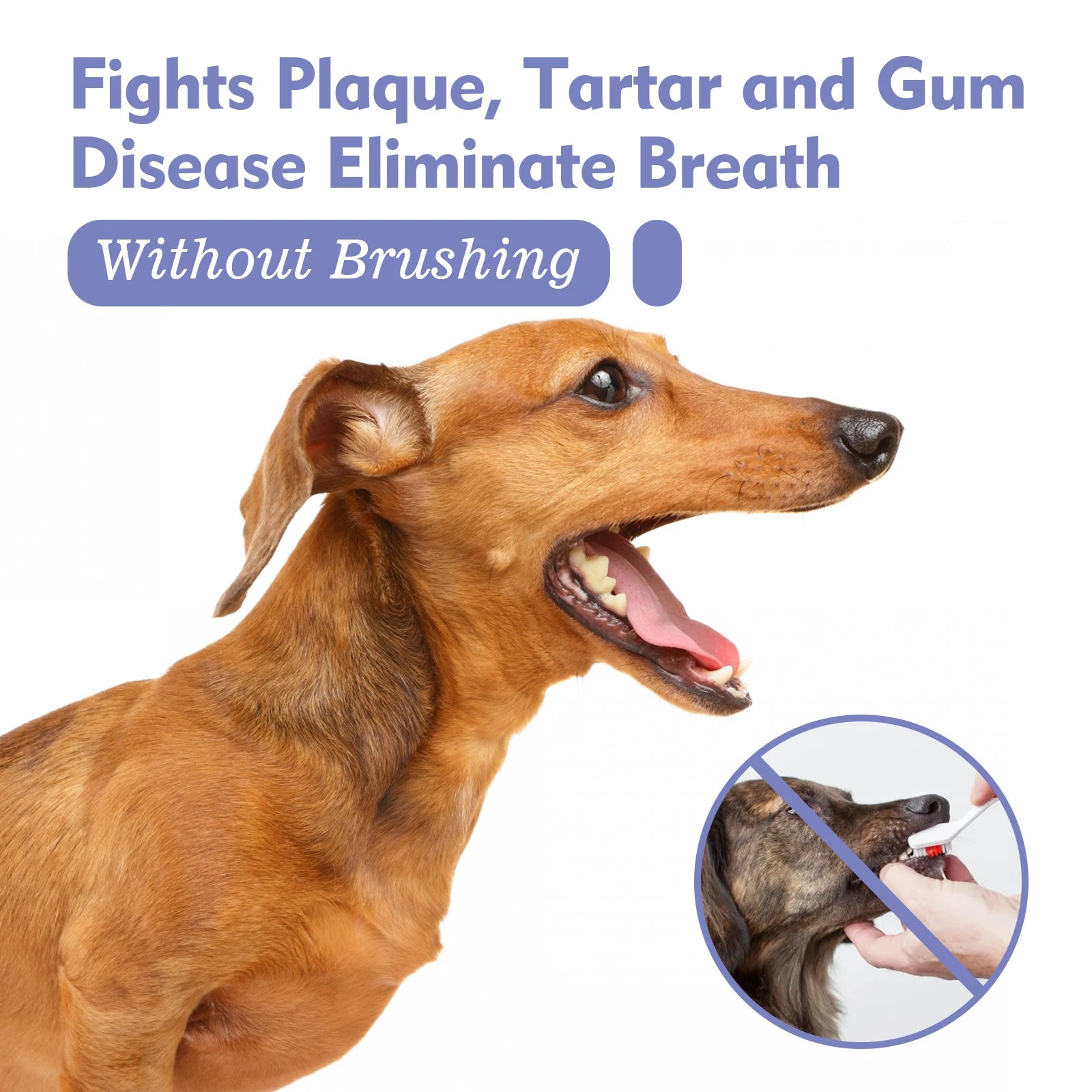 Pet Dental Spray for Fresh Breath and Plaque Control