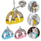 Escape-Proof Harness and Leash Set for Small Pets