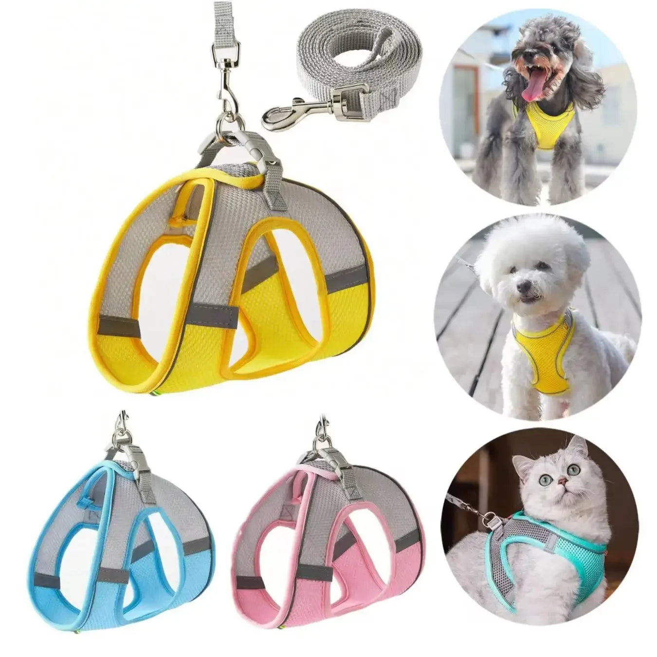 Escape-Proof Harness and Leash Set for Small Pets