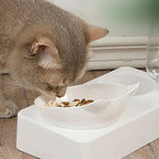 Tilted Pet Feeding Bowl, Cervical Protection
