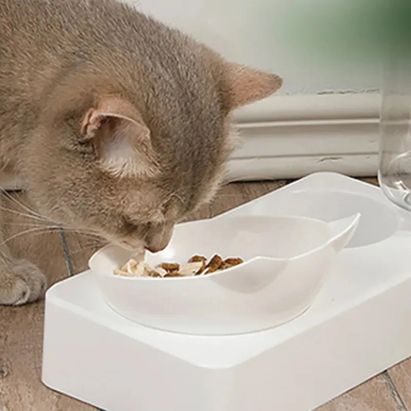 Tilted Pet Feeding Bowl, Cervical Protection