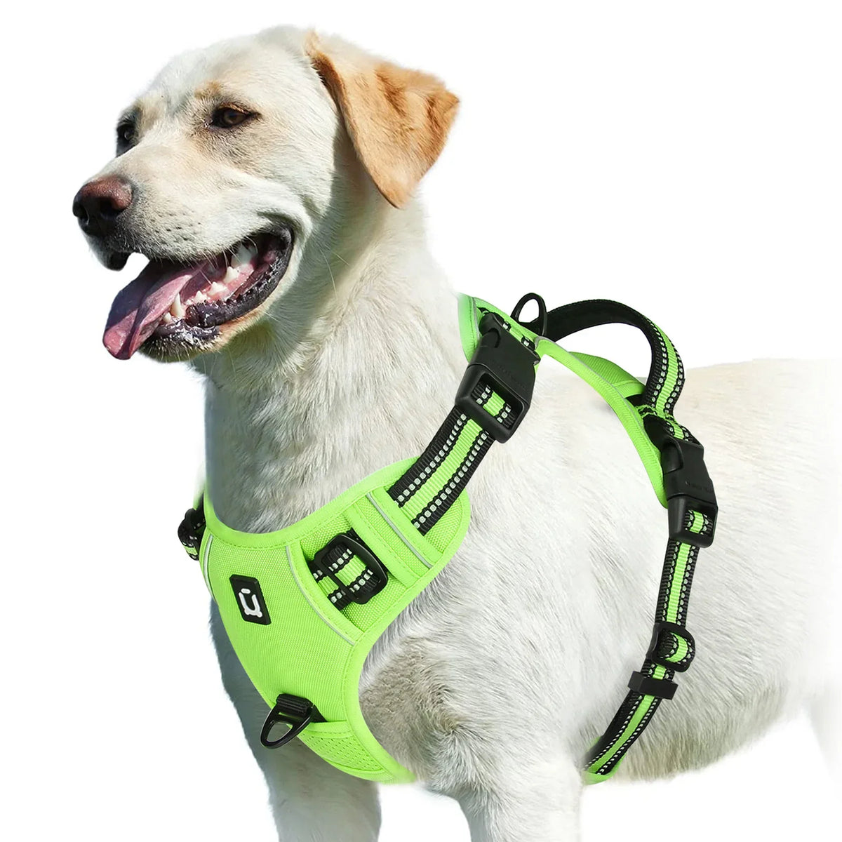 No-Pull Padded Dog Harness with Handle - view 9
