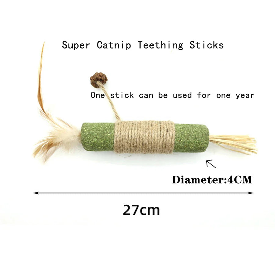 Interactive Squeaky Catnip Ball Cat Toy - view 14