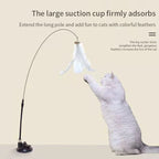 Hands-Free Suction Cup Bird Feather Cat Wand Toy - view 6