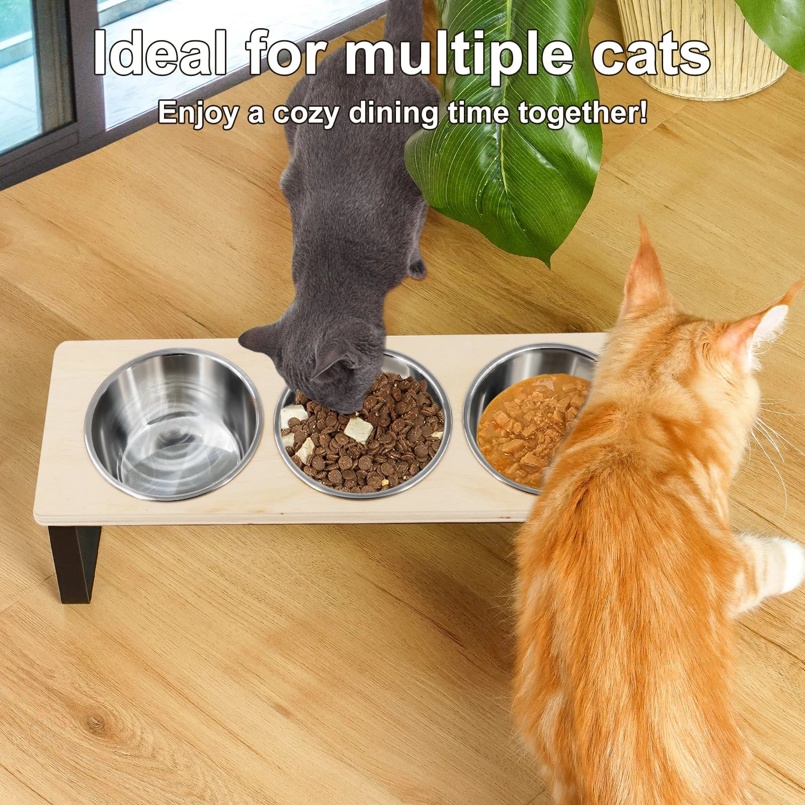 Elevated Tilted Cat Feeding Bowls with Stand