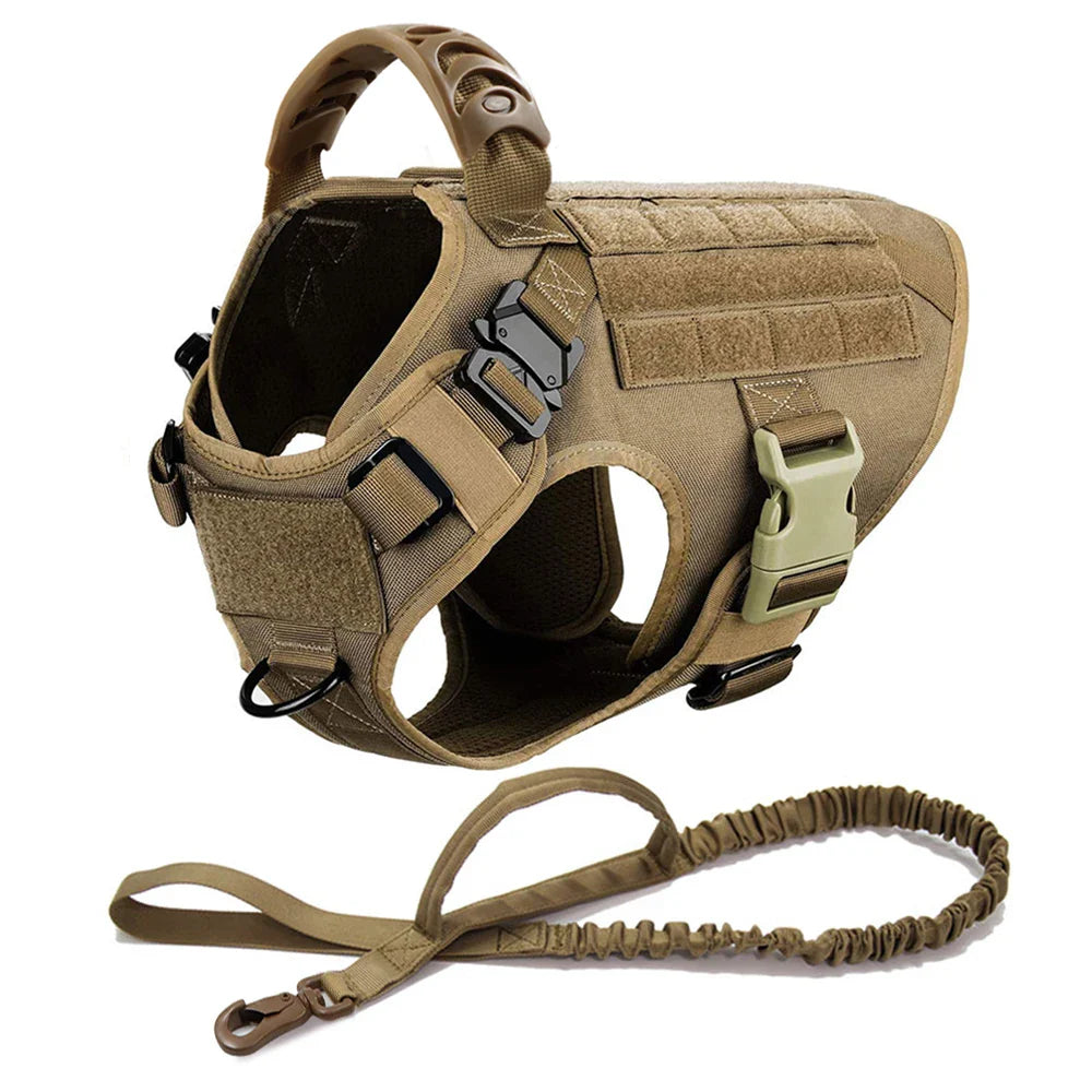 Training Vest Harness and Leash Set for Large Dogs