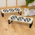 Elevated Tilted Cat Feeding Bowls with Stand