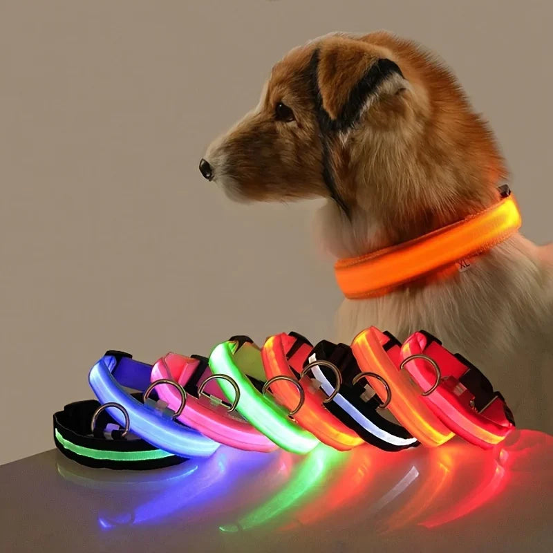 Glow-in-the-Dark LED Dog Leash