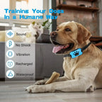 Rechargeable Ultrasonic Anti-Bark Dog Collar - view 2