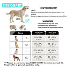 No-Pull Padded Dog Harness with Handle - view 2