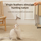 Telescopic Feather Wand Cat Toy, 1.8m