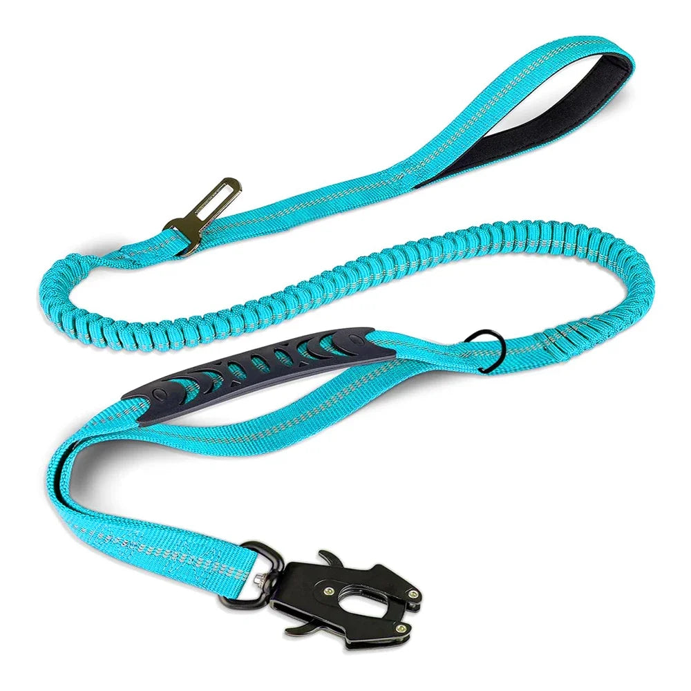 Shock-Absorbing Bungee Dog Leash with Car Seatbelt