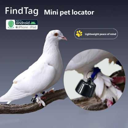 Mini Pets Global Locator Compatible with Android ISO System for Birds and Dogs and Cats View 3 Days of Movement GPS Tracker