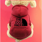 Denim Pocket Sweater for Dogs and Cats - view 2