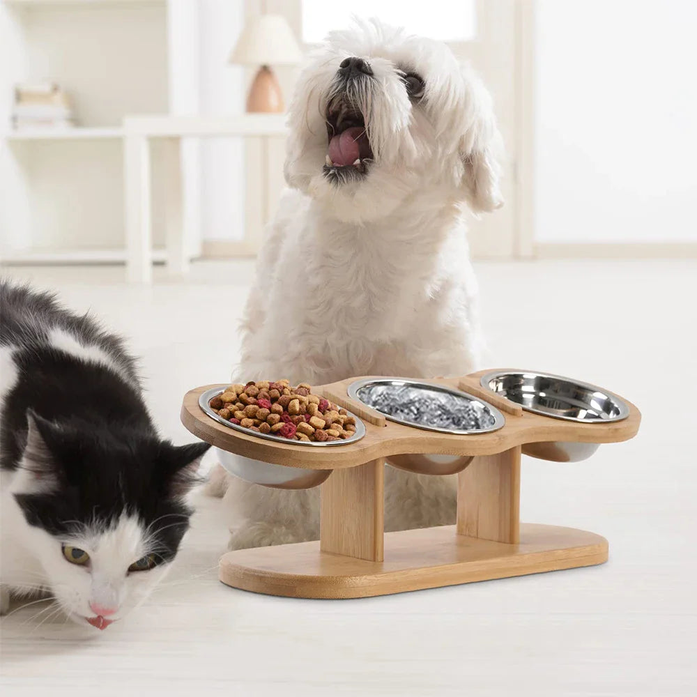 Raised 3-Bowl Cat Feeder with Wood Stand - view 5