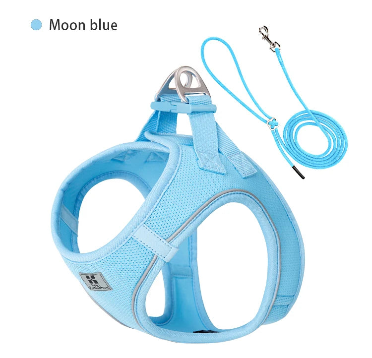 Reflective Adjustable Dog Harness and Leash Set