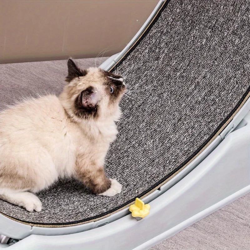 Ultra-Quiet Cat Exercise Wheel Toy with Lock - view 4
