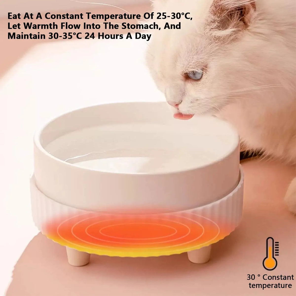 Rechargeable Heated Water Bowl for Dogs and Cats