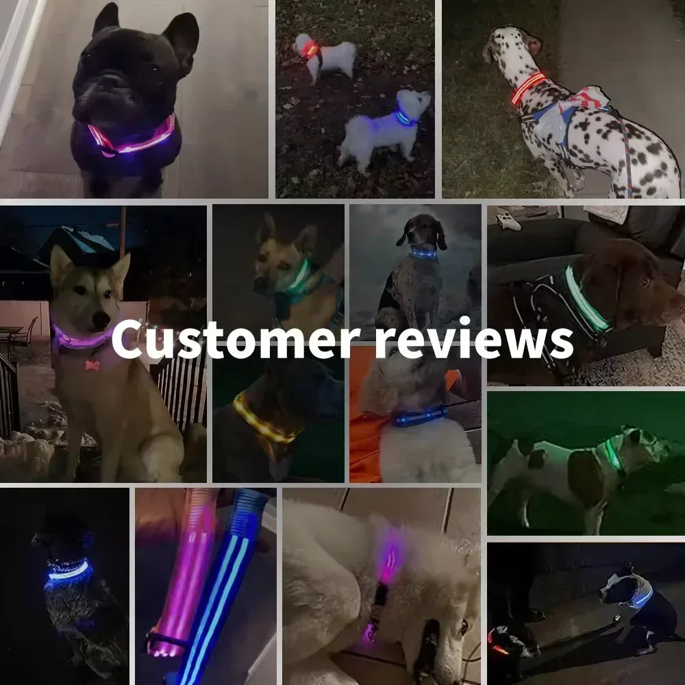 Flashing LED Night Safety Collar for Small Dogs - view 6