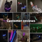 Flashing LED Night Safety Collar for Small Dogs - view 6
