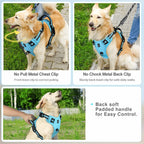 No-Pull Padded Dog Harness with Handle - view 4
