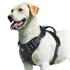 No-Pull Padded Dog Harness with Handle - view 10