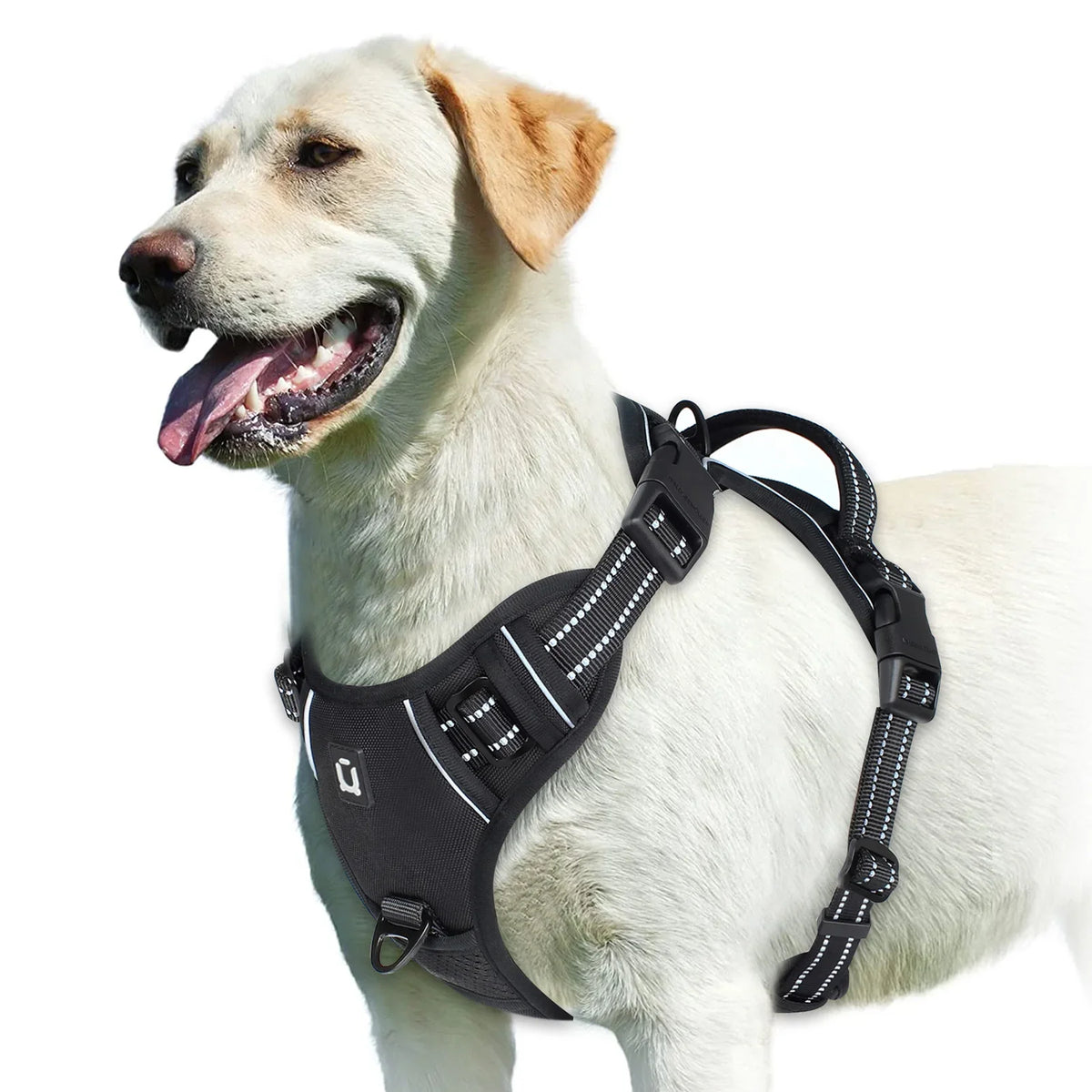 No-Pull Padded Dog Harness with Handle - view 10