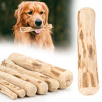 Natural Coffee Wood Chew Stick for Dogs