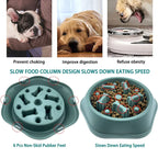 Anti-Choking Slow-Feeder Dog Bowl