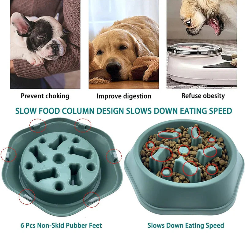 Anti-Choking Slow-Feeder Dog Bowl