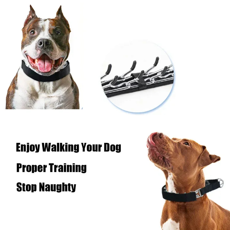 Prong Training Dog Collar with Quick-Release Buckle - view 4