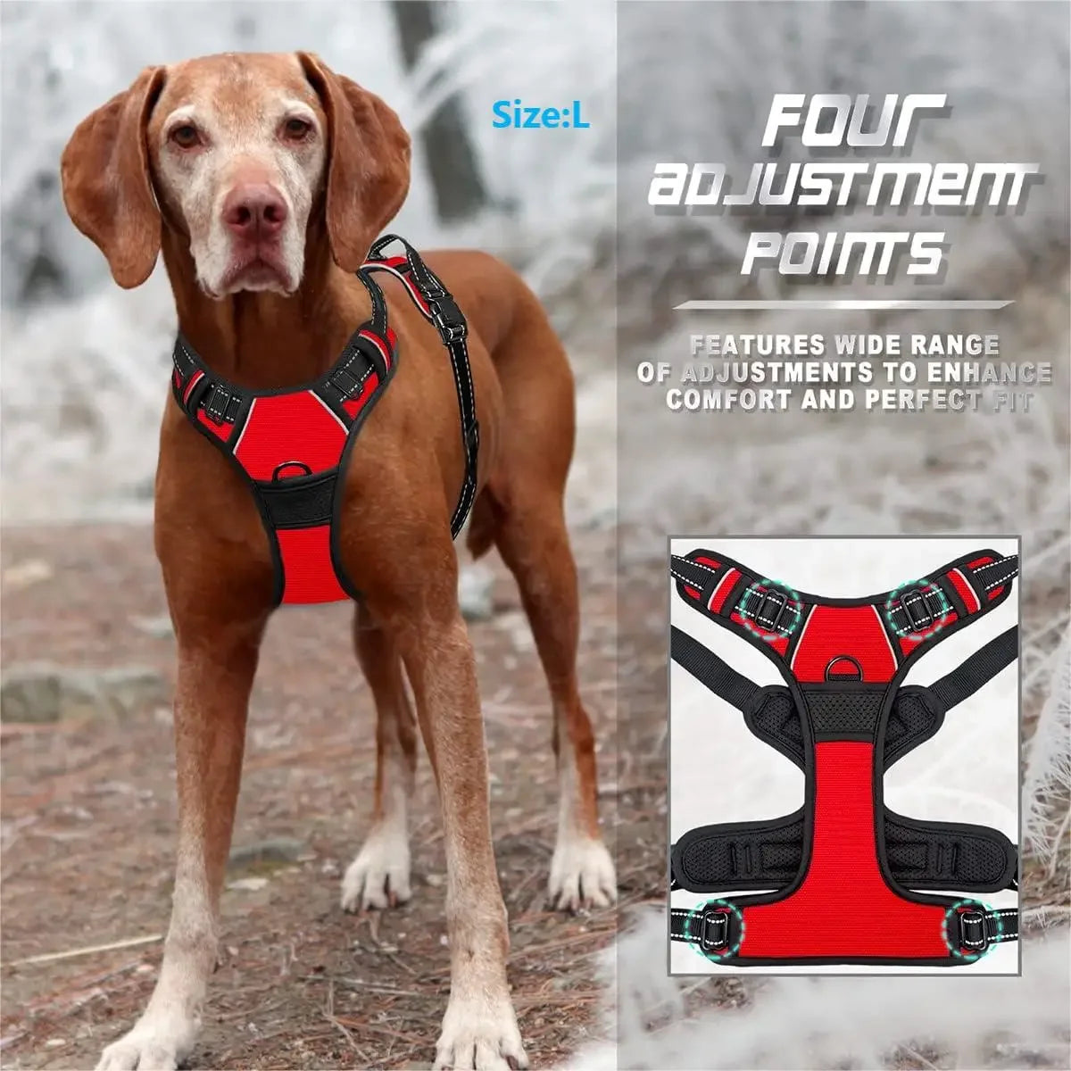 No-Pull Front-Clip Dog Harness - view 3