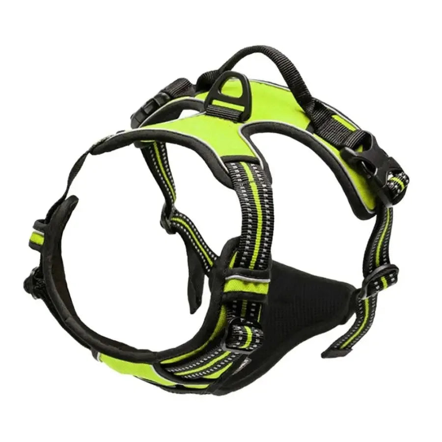 Leather Dog Collar, Harness and Leash Set - view 11