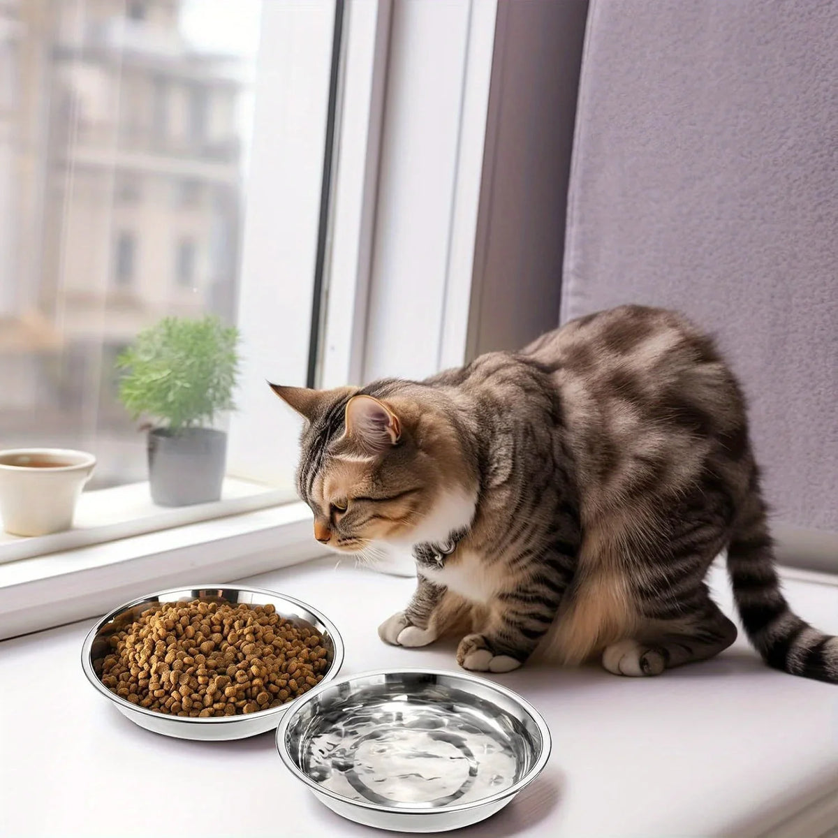 Non-Slip Low-Profile Stainless Steel Cat Bowls, 2/6 Pack - view 8