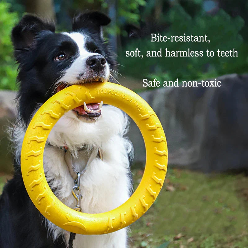 4-Piece Durable Dog Toy Set