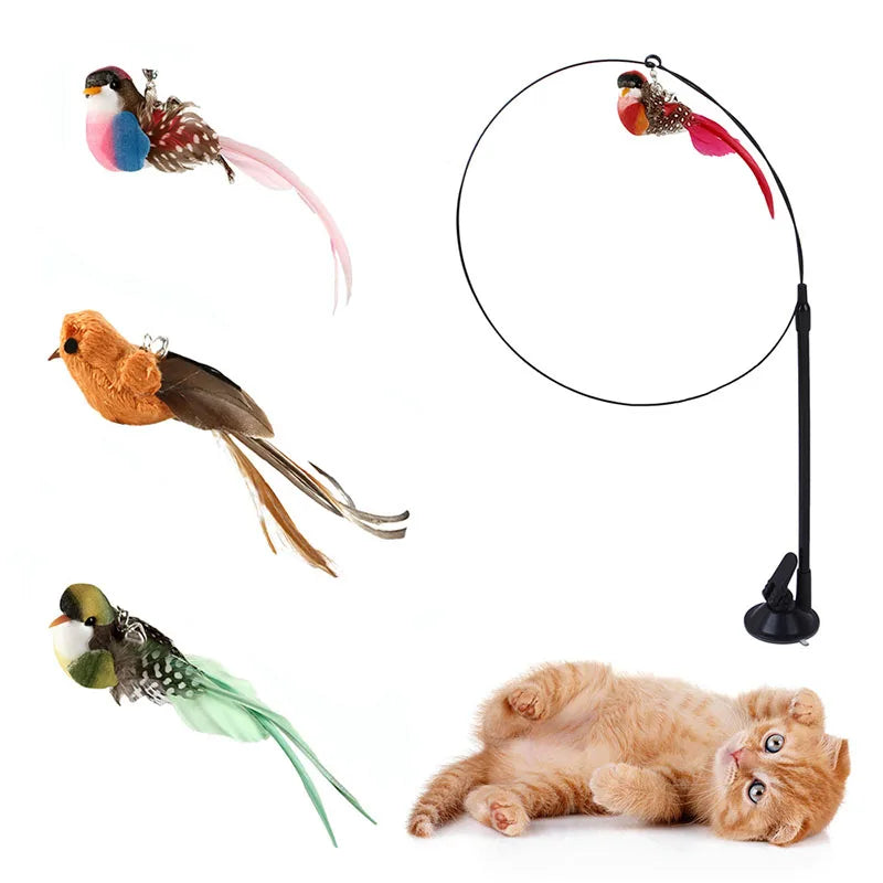 Suction Cup Bird Feather Cat Teaser Wand Toy
