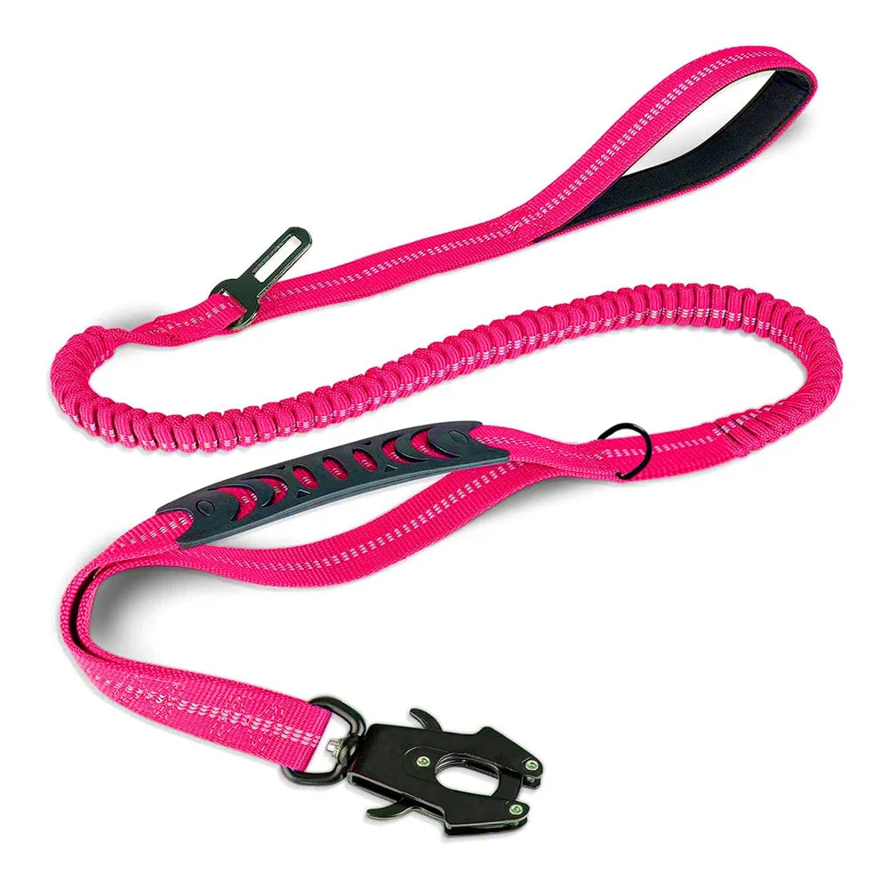 Shock-Absorbing Bungee Dog Leash with Car Seatbelt