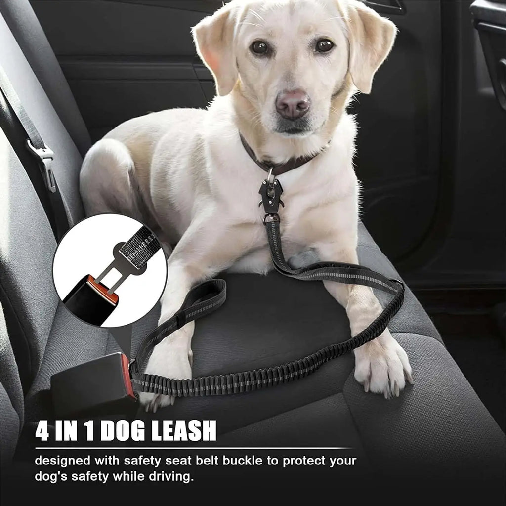 Shock-Absorbing Bungee Dog Leash with Car Seatbelt