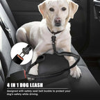 Shock-Absorbing Bungee Dog Leash with Car Seatbelt