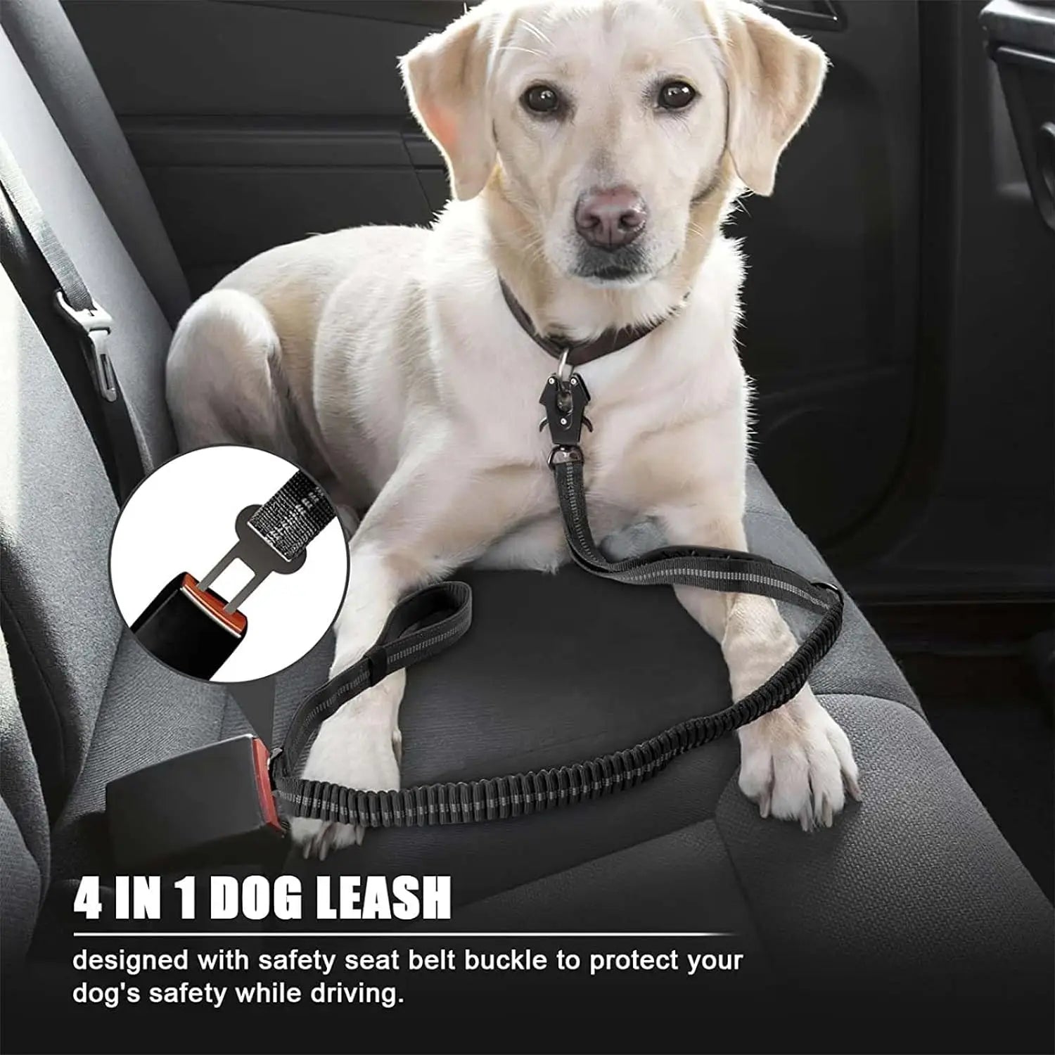 Shock-Absorbing Bungee Dog Leash with Car Seatbelt