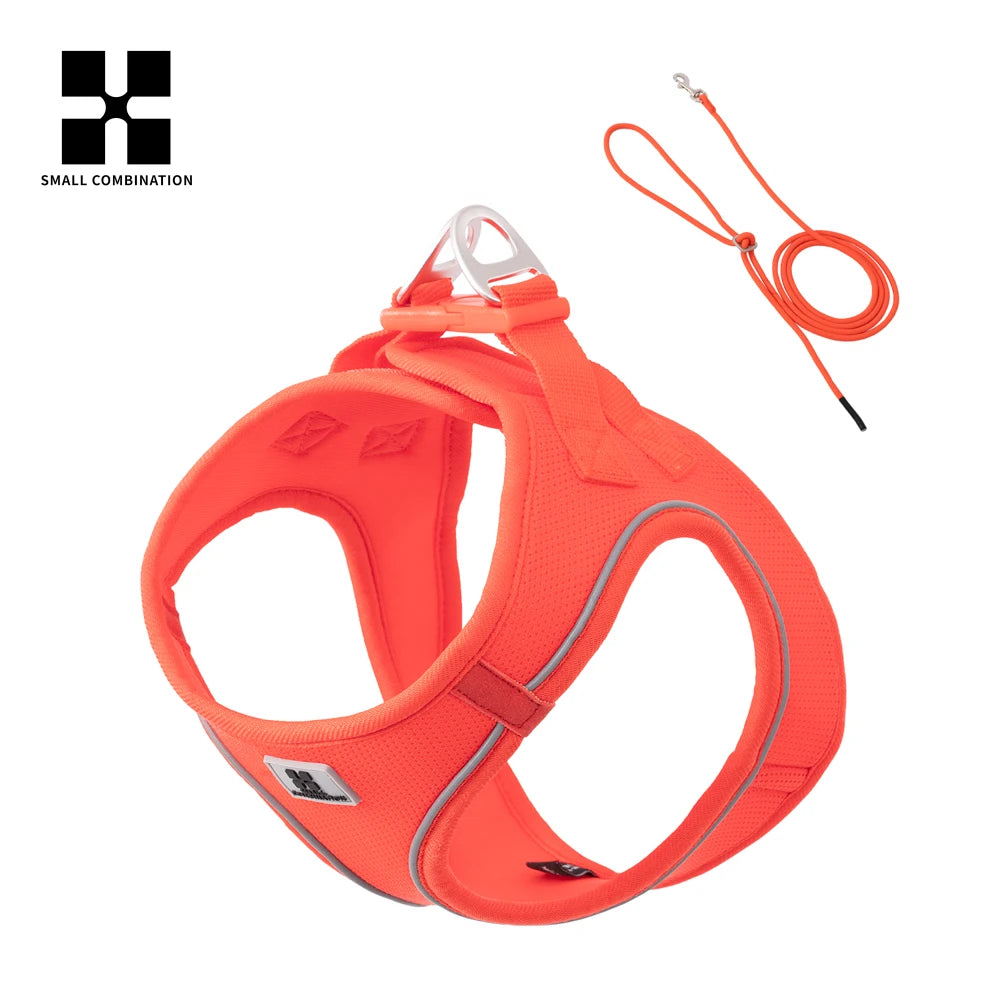 Reflective Adjustable Dog Harness and Leash Set