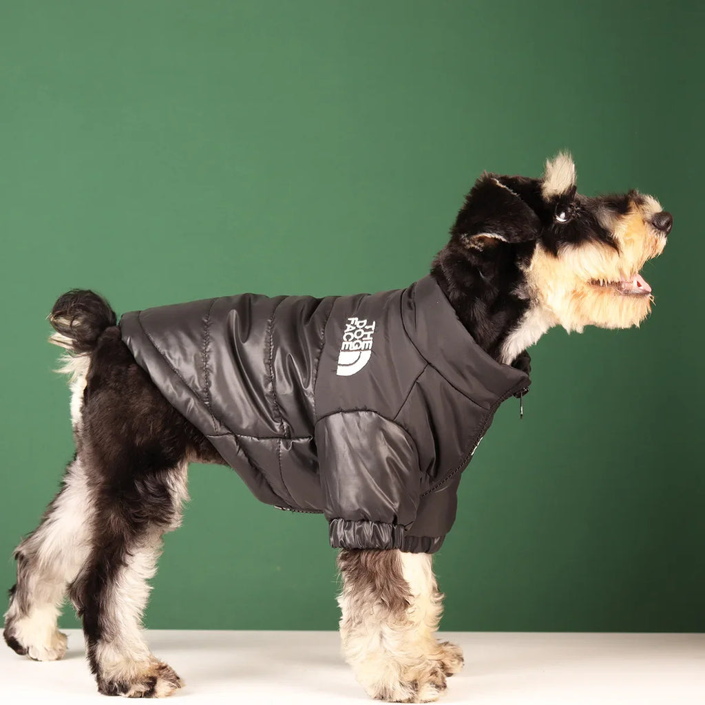 Reflective Windproof Winter Jacket for Dogs - view 5