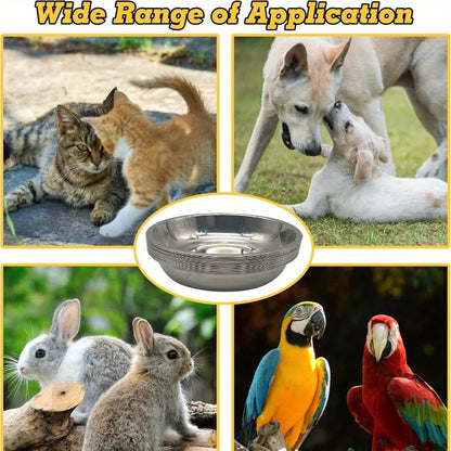 2/6pcs Slip Resistant Stainless Steel Cat Bowl – Low-Profile Wide Design for Kittens Small Pets Anti-Tip Base Feeding Station