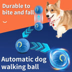 USB Automatic Bouncing Ball Toy for Dogs and Cats - view 2
