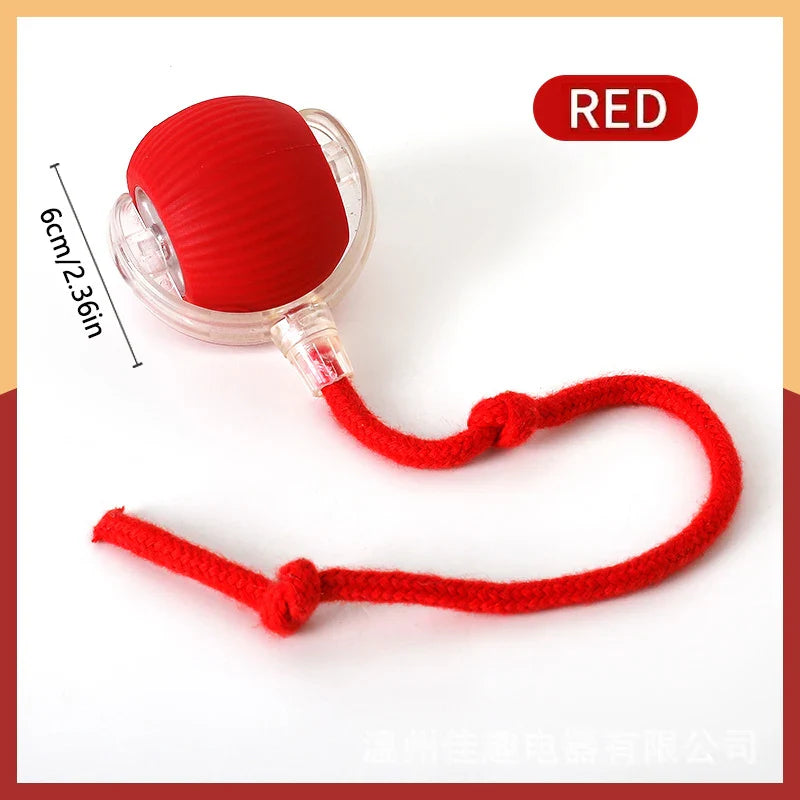 USB Automatic Bouncing Ball Toy for Dogs and Cats - view 11