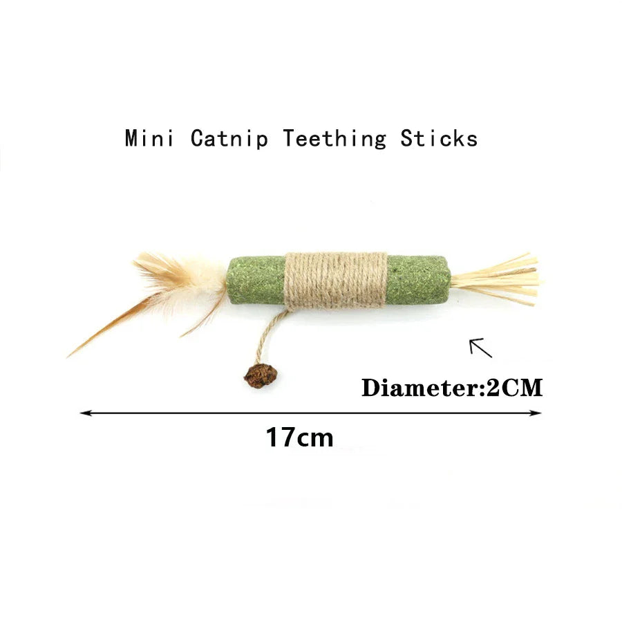 Interactive Squeaky Catnip Ball Cat Toy - view 7