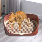 Anti-Splash Dog Potty Training Pan - view 2