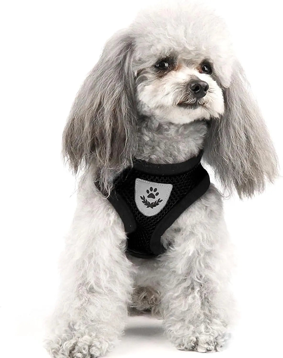 Cat Harness Vest Walking Lead Leash For Puppy Dogs Collar Polyester Adjustable Mesh Dog Harness For Small Medium Pet Accessories