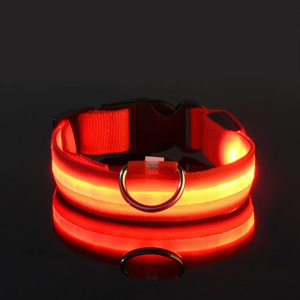 Glow-in-the-Dark LED Dog Leash - view 8